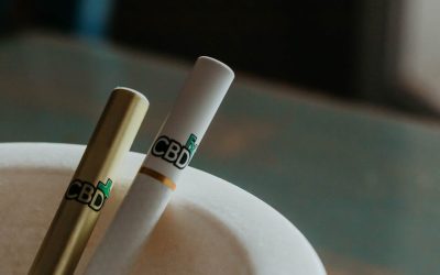 A Comprehensive Guide to ACE Premium Features and Comparison